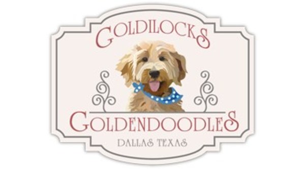 Goldilock's Goldendoodles Celebrate 10 Years of Doodle Love! - Vimarsana News
