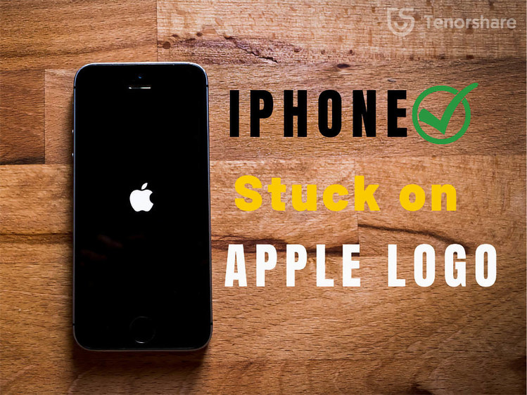 iPhone Stuck On Apple Logo? Here's why and how to unfreeze it! - Vimarsana News