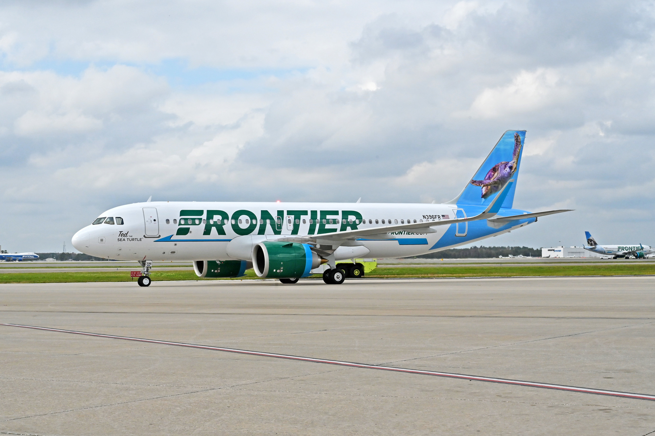 Orlando's Most Loved Animal, SEA LIFE Aquarium Orlando's Ted the Turtle, Makes Debut on New Frontier Airlines Plane Tail