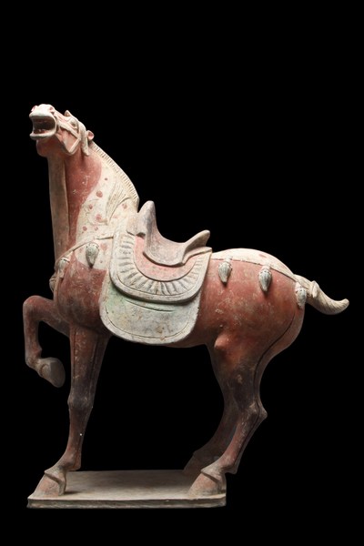 Large Chinese Tang Dynasty (circa 618-907 AD) pottery figure of prancing horse with raised right foreleg, head thrown back with sideswept mane. Height: 700mm x 590mm (28in x 23.2in). Accompanied by TL testing certificate and full report from independent German laboratory Ralf Kotalla. Estimate £3,000-£6,000 ($3,680-$7,360)