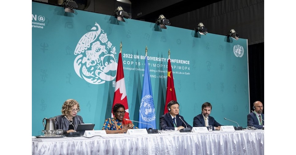 COP15: Daily Highlights