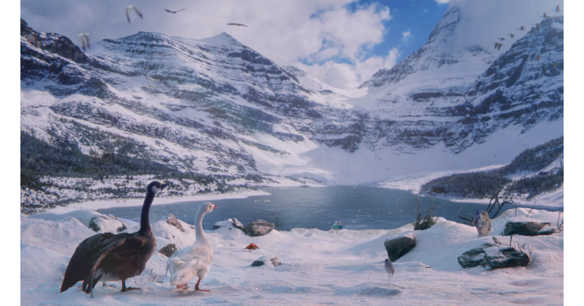 Chris Vena on LinkedIn: Tim Hortons' holiday campaign featuring a Canada  goose reflects the plight…
