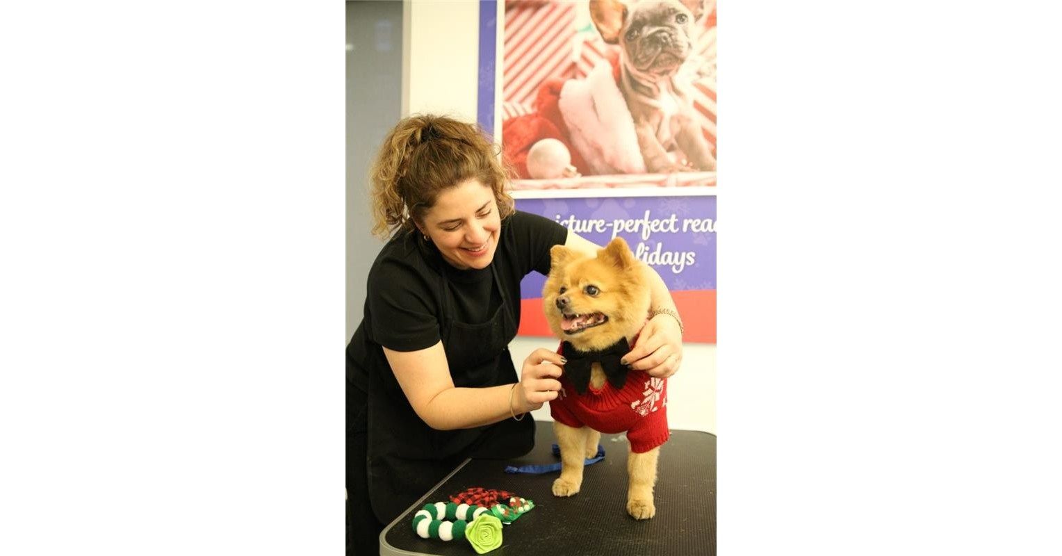 Hill’s Pet Nutrition and Celebrity Groomer Jess Rona Team Up to Help Get Small and Mini-Size Dogs Holiday-Ready with Grooming and Nutrition Advice