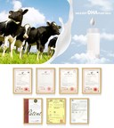 独创DHA乳制品国际领先的四项专利