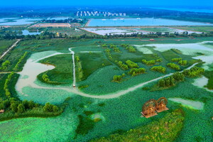 Kreis Gaoqing, Shandong: Das Paradies der Vögel auf den Flussinseln