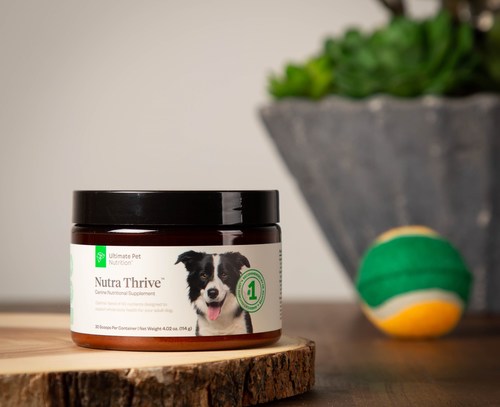 This year, Ultimate Pet Nutrition Nutra Thrive for dogs was awarded the Pet Innovation Award for best “Dog Vitamin/Supplement of the Year. ”This award-winning supplement’s formula helps support the digestive health, joint health, organ health, coats, and immune function of canines for a healthy, revitalized life.