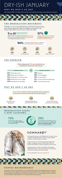Moderation is In Demand: 9 in 10 Americans Want a Dry-ish January - Vimarsana News