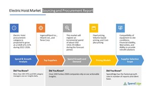 Global Electric Hoist Market Sourcing and Procurement Report with Top Suppliers, Supplier Evaluation Metrics, and Procurement Strategies - SpendEdge