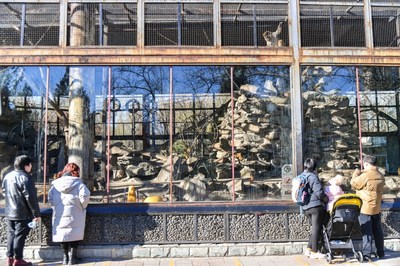 People visit the monkey enclosure at the Beijing Zoo on December 6 (WEI YAO) (PRNewsfoto/Beijing Review)