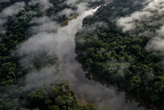 亚马逊丛林——图片来源:保罗·罗索里，《丛林守护者》(CNW集团/ Union Alliance Age)