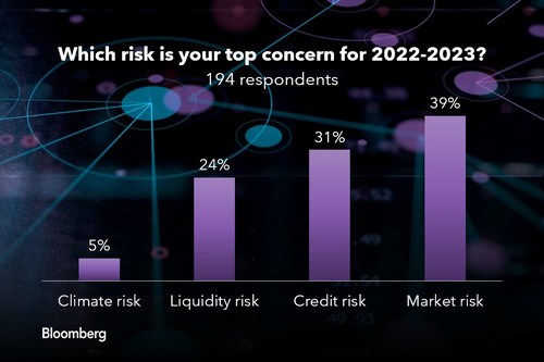 Bloomberg Risk Analytics Survey 2022
