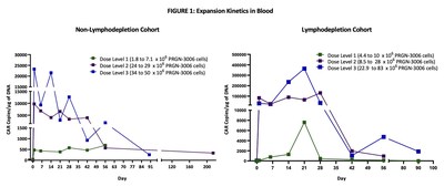 FIGURE 1: Expansion Kinetics in Blood