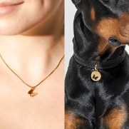 Dogily: This Christmas Show the World Who Your Best Friend Is!