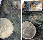 More Visible Gold Found at Northern Shield's Root &amp; Cellar Property, Newfoundland; New Mineralized Structures Identified