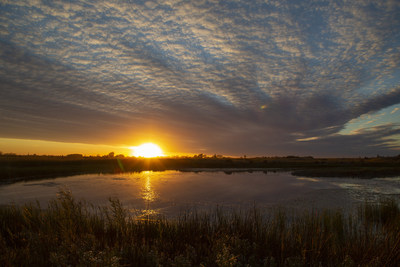 Ducks Unlimited Canada - Chief Financial Officer • Leaders