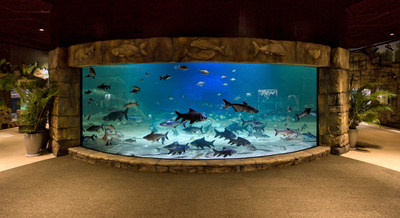 The Large Mekong River Exhibit contains the largest giant Mekong catfish in captivity.