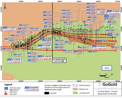 图1:El Favor钻孔位置(CNW Group/GoGold Resources Inc.)