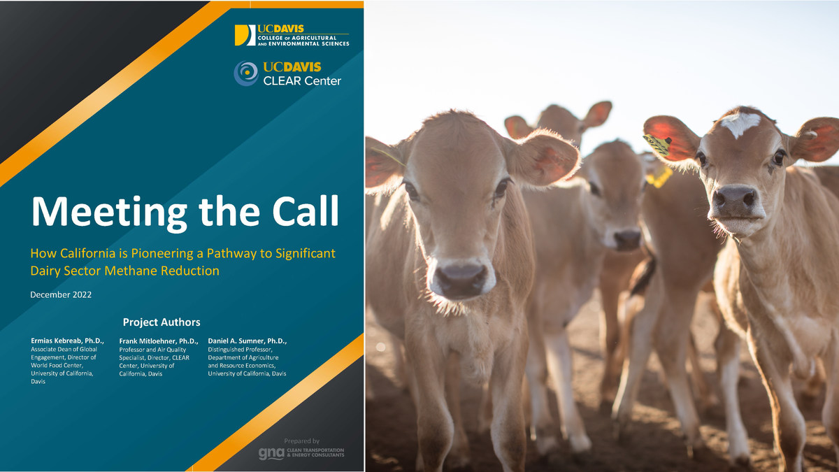 New Report: California is Pioneering a Pathway to Significant Dairy Methane Reduction - Vimarsana News