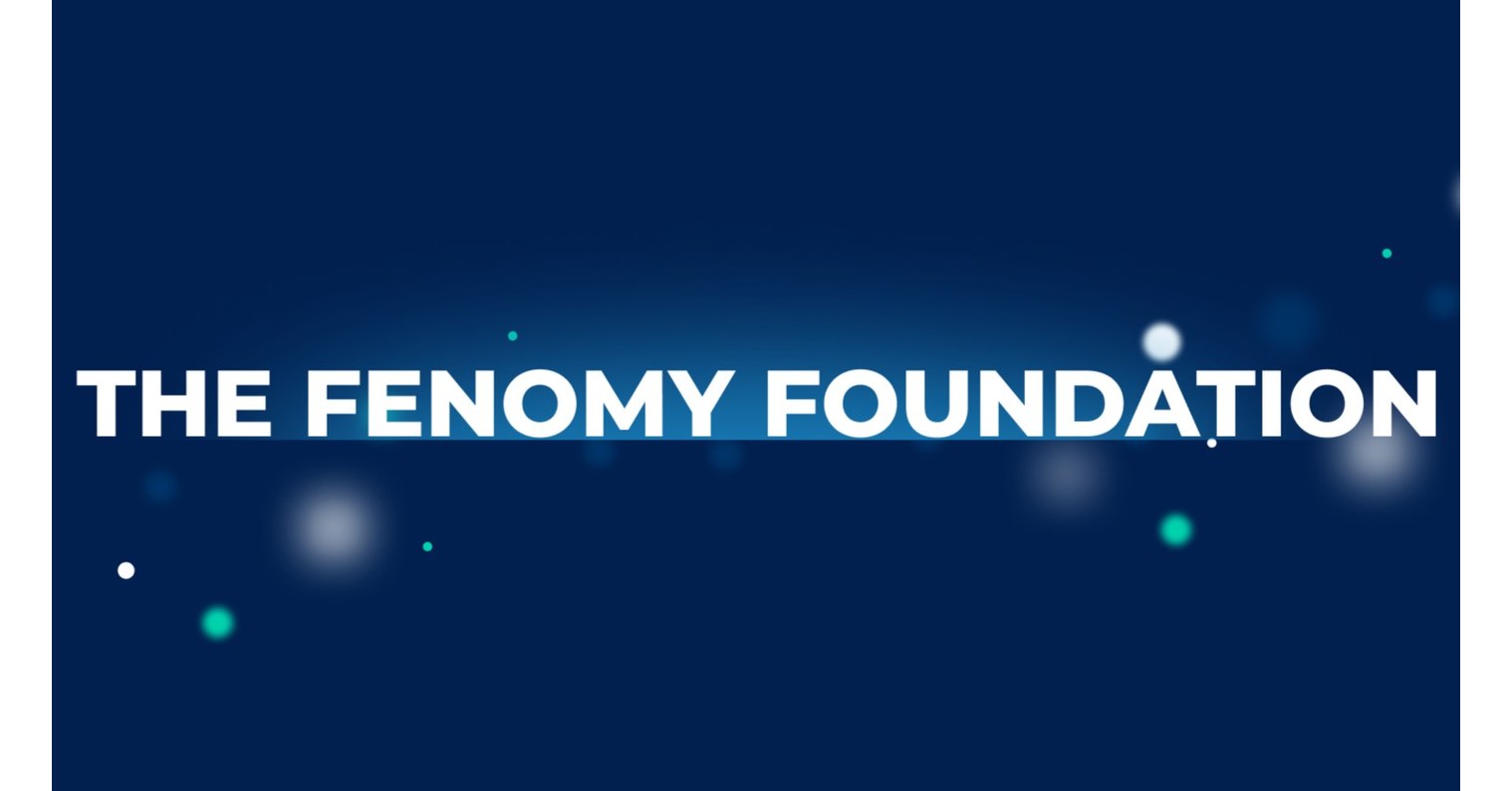The Fenomy Foundation is an International Organization That is Being Established to Further the Development of the Fenomy Ecosystem and Partner Projects