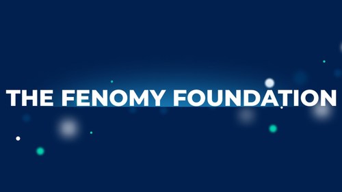 The Fenomy Foundation is an international organization that is being established to further the development of the Fenomy ecosystem and partner projects.