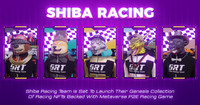 Shiba Racing Team