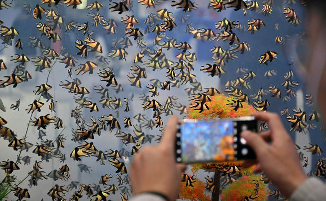 Featured products of many countries appeared at the 2022 China (Hainan) Winter Trade Fair - Vimarsana News