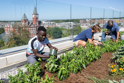 Students and faculty played a major role in the initial planting of the garden on the Walt and Ginger Woltosz Rooftop Terrace, located on top of the Tony and Libba Rane Culinary Science Center at Auburn University. The 4,400-square-foot garden is visited daily by students and faculty who ensure the space is not only beautiful but functional for the culinary laboratories and teaching restaurant, 1856 - Culinary Residence, below.