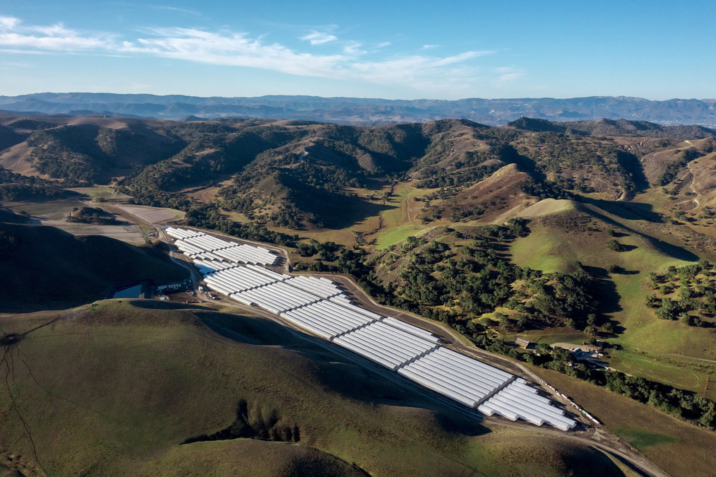 Introducing Farming First, a 134-Acre Outdoor Cannabis Cultivation and Supply Company Based in Santa Barbara County - Vimarsana News