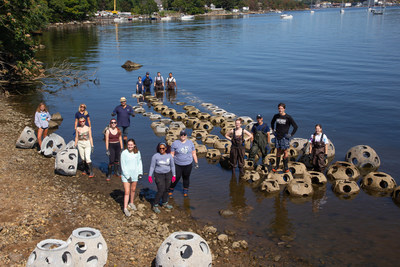 Connecticut College is deploying 80 Reef Balls made of pH-balanced concrete to create a living shoreline that will help restore Connecticut's tidal marshes. Photo credit: Dominique Sindayiganza / 11th Hour Racing