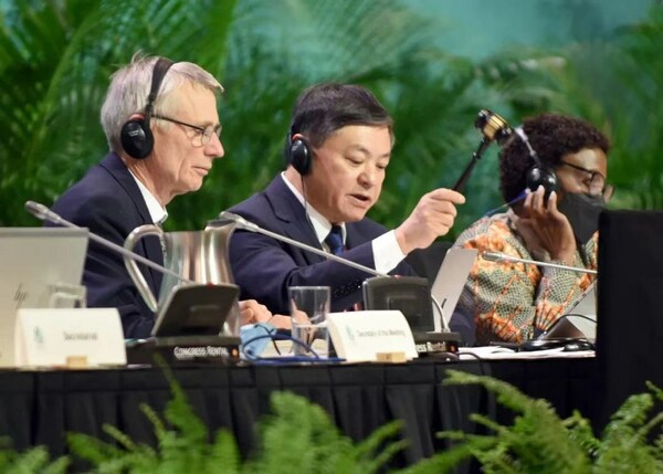 在中国的积极努力下，COP15达成了历史性的全球生物多样性框架