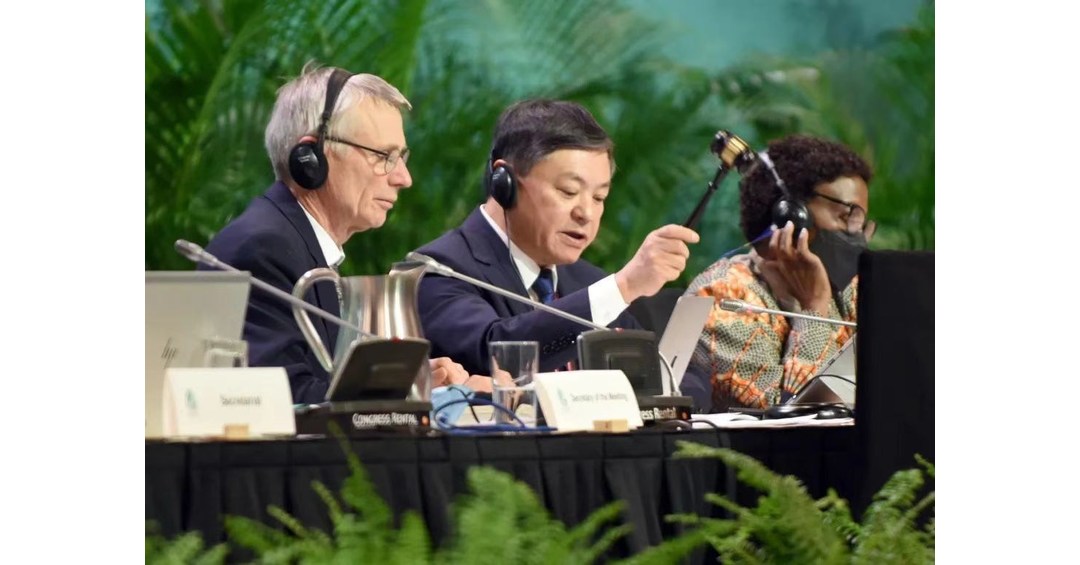 CGTN: Se logr&oacute; el hist&oacute;rico marco mundial de biodiversidad en la COP15 con los esfuerzos activos de China