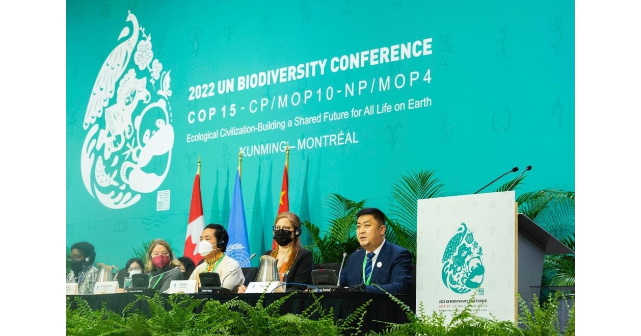 Yili Group Presents Its Biodiversity Conservation Efforts at the UN