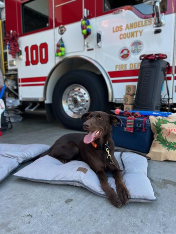 VCA Charities clears the wish list of the Los Angeles County Fire Foundation Search Dog Team and surprises handlers and canines at the Hermosa Beach Fire Station on Monday, December 19, 2022.