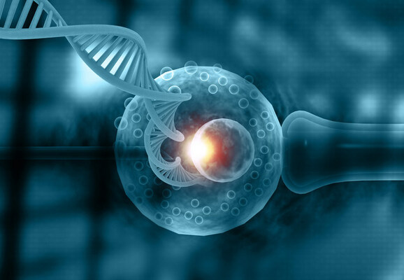 In Vitro Fertilization Services Industry to be Boosted by Innovative Technologies - Vimarsana News