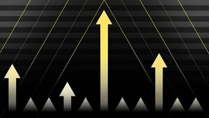 IPDESP - A IMPORTÂNCIA DA INTELIGÊNCIA EMOCIONAL PARA A ALTA PERFORMANCE NOS INVESTIMENTOS