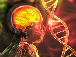 ANEW MEDICAL Pursues Gene Therapies for Cognition.
