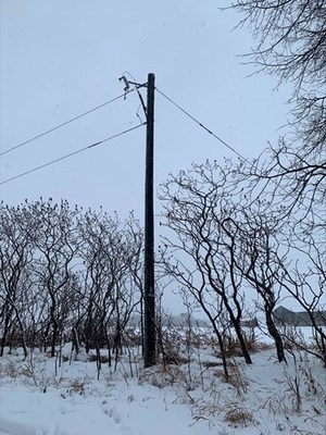 Damage to an electricity pole caused by high winds. (CNW Group/Hydro One Inc.)