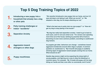 Top 5 Dog Training Questions on JustAnswer in 2022