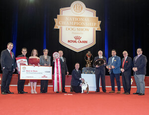 BULLDOG "STAR" WINS BEST IN SHOW AT 22nd AKC NATIONAL CHAMPIONSHIP PRESENTED BY ROYAL CANIN