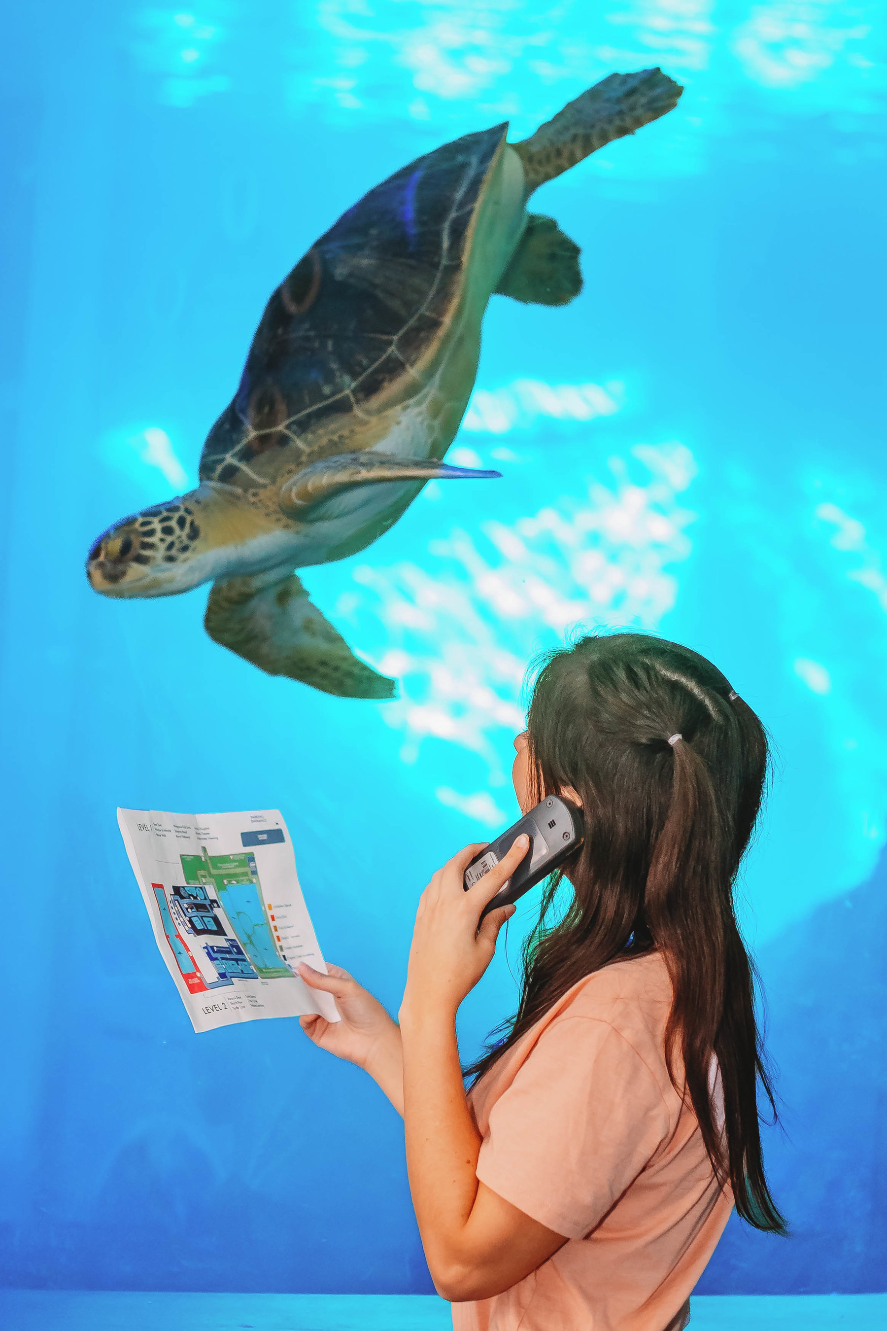 CLEARWATER MARINE AQUARIUM LAUNCHES NEW AUDIO TOUR, SPONSORED BY BAYCARE