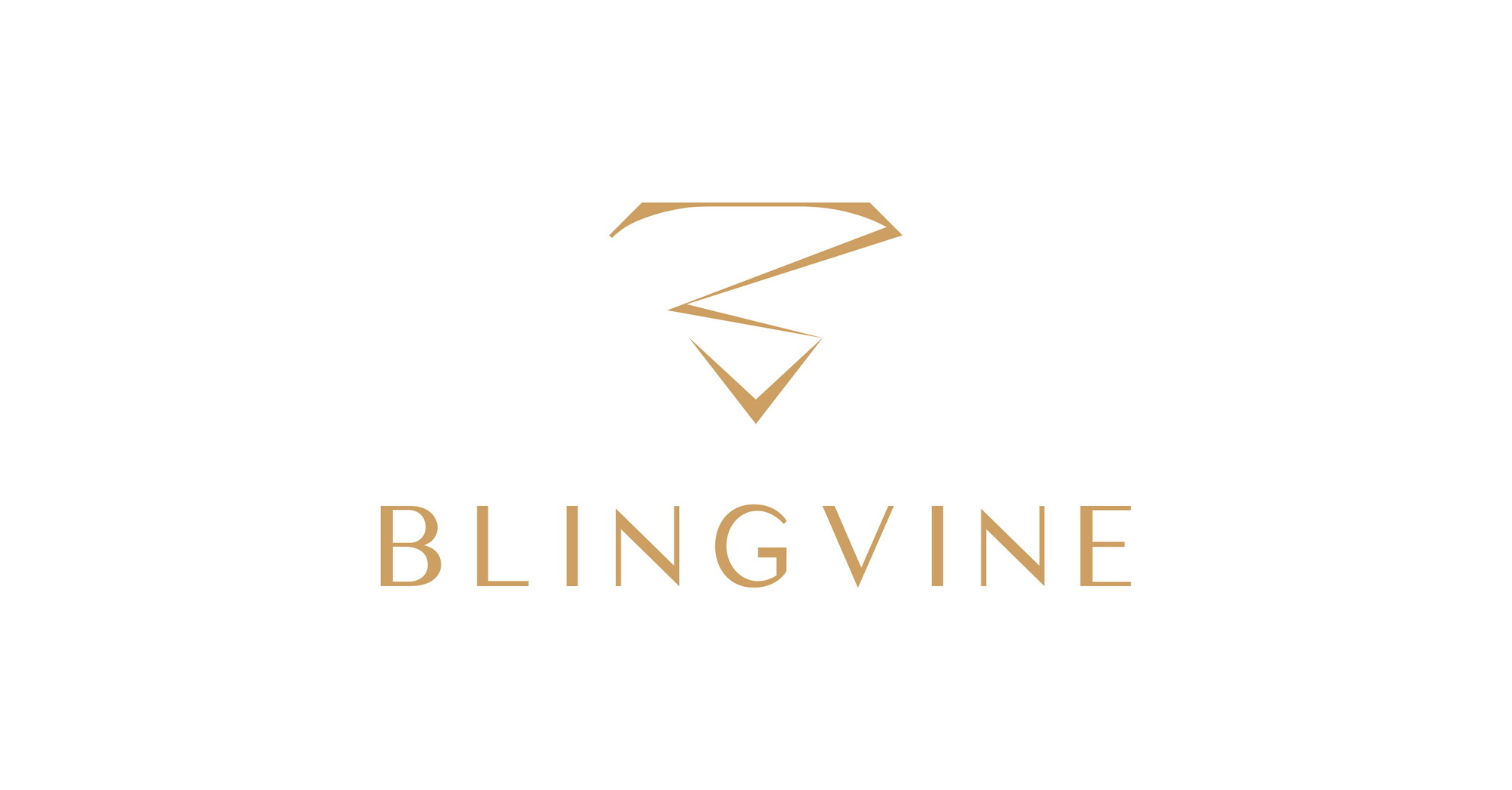 The Unique Business Strategy That Helped Blingvine Reach 1 Lakh Customers