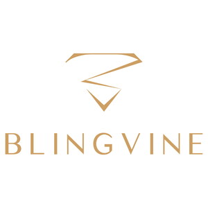The Unique Business Strategy That Helped Blingvine Reach 1 Lakh Customers