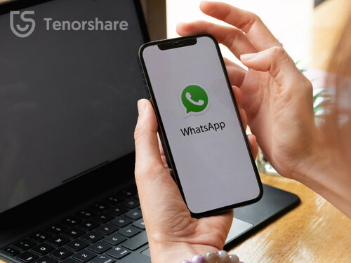 Backup WhatsApp connected  iPhone and Android without Google Drive