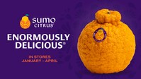 Fruit of the Week! The Sumo Orange - The Art of Doing Stuff