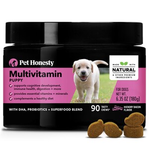 Pet Honesty Launches Multivitamin Puppy to Support Puppies' Formative Months of Growth and Training, Featuring DHA for Brain Health Support