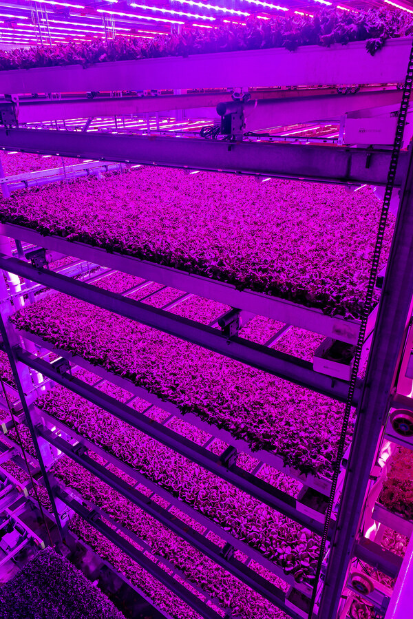 Unable to view the image, Please provide a valid URL.