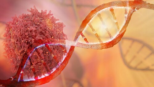 Chinese Medical Journal Study Finds New Genetic Variant Linked to Pancreatic Cancer Prognosis.