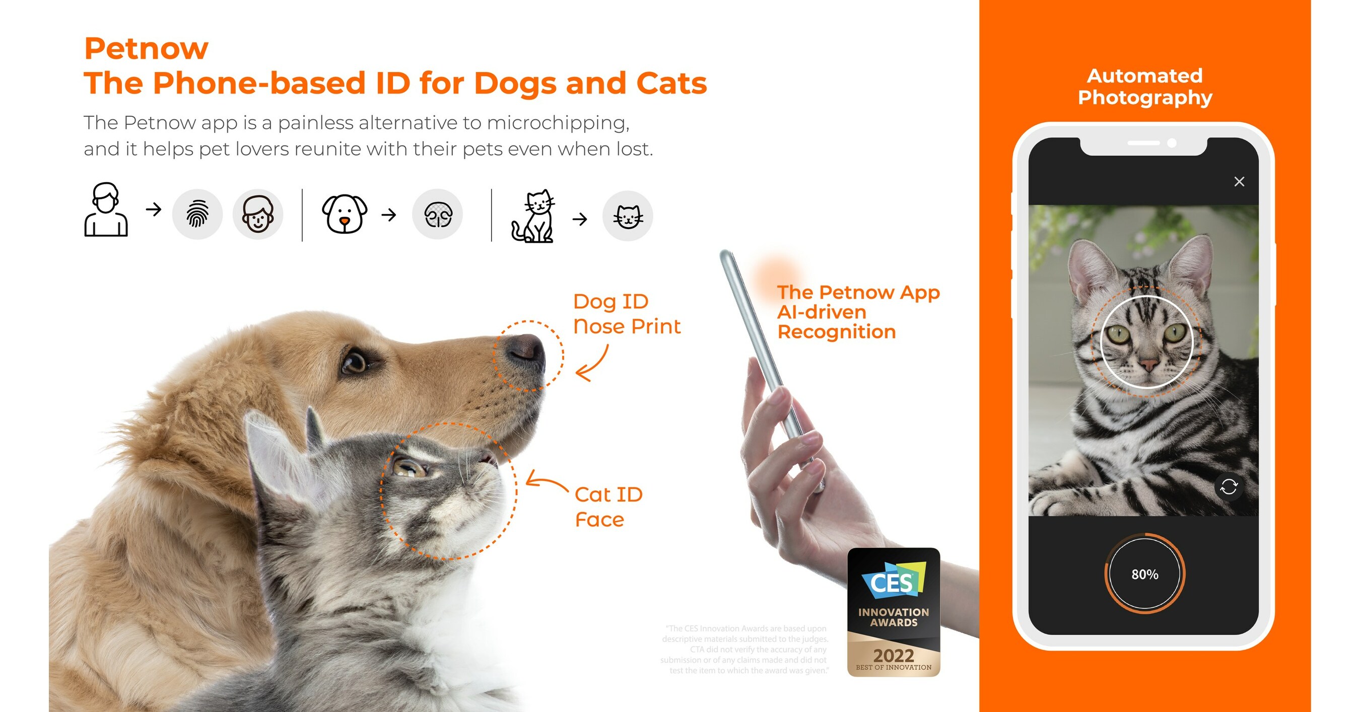 Introducing Pet Tag, a new accessory that helps reunite lost pets