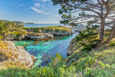 2023 marks the 90th anniversary of Point Lobos State Natural Reserve joining the California State Parks system.