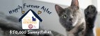 The ARM & HAMMER™ Feline Generous Program Announces 5 Winning Purrfectly Impurrfect Cats Living "Happily Furever After" and donates $50,000 to their Shelters